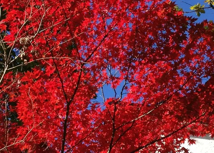 Сasa de vacaciones Suederhof 2 *